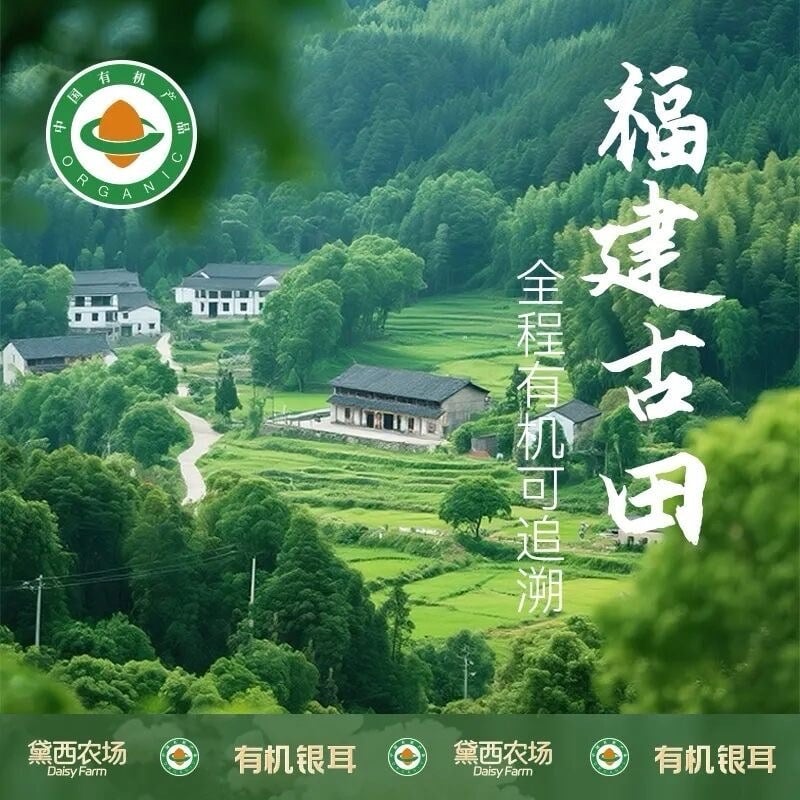 福建古田｜有機銀耳 (下單+1=2盒） (4)
