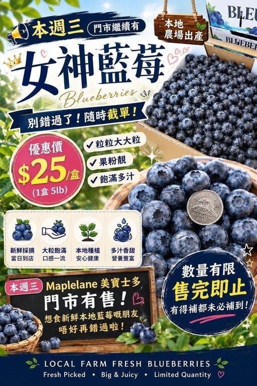 女神藍莓 (8/12) (2)