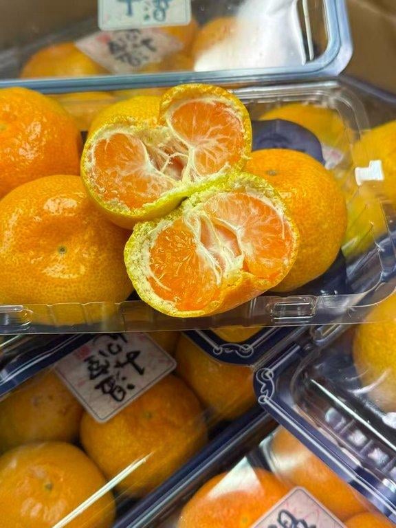 日本佐賀蜜橘 (4)