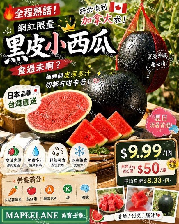 黑皮小西瓜 (1)