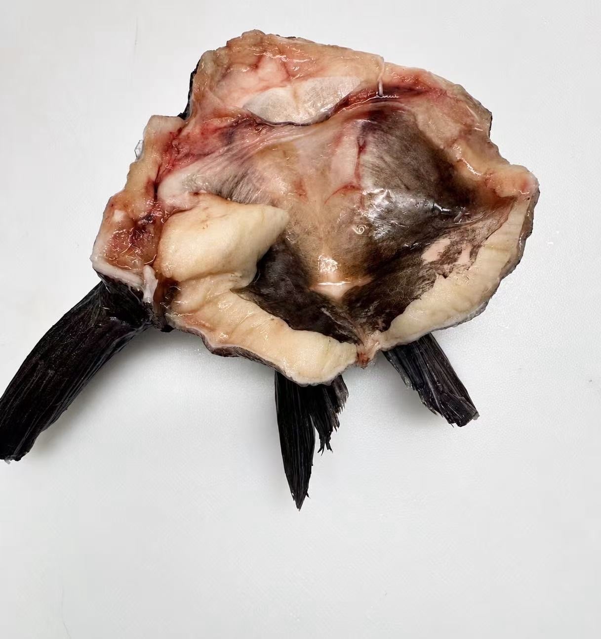 野生黑鱈魚頸肉（魚下巴） (3)