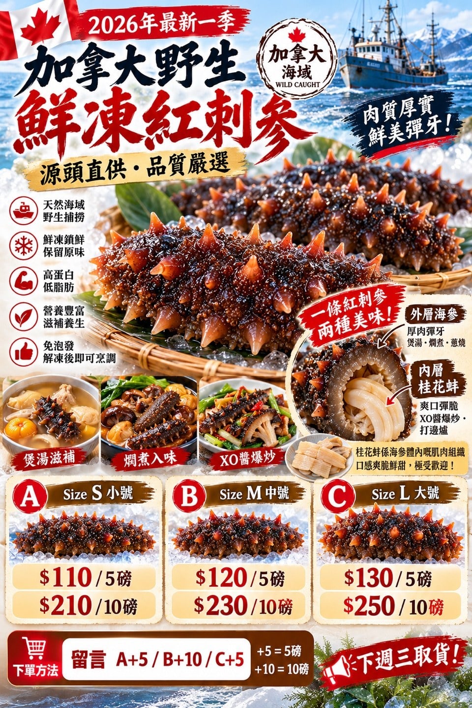 加拿大野生鮮凍紅刺參 (1)