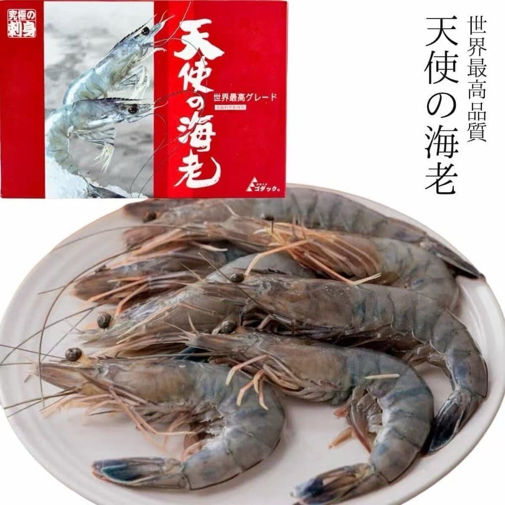 藍天使蝦 (6)