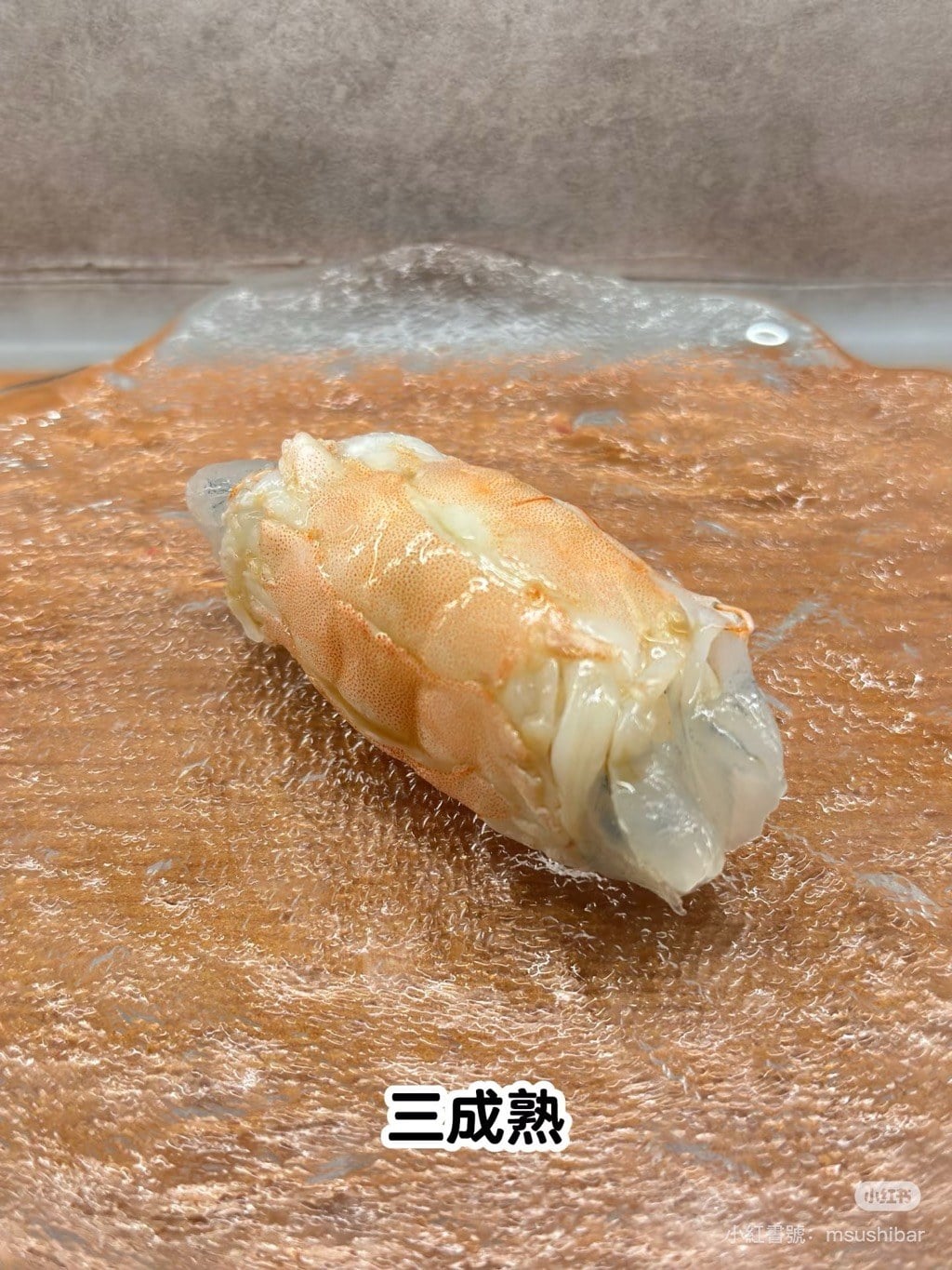 藍天使蝦 (8)
