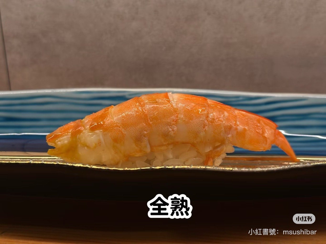 藍天使蝦 (9)