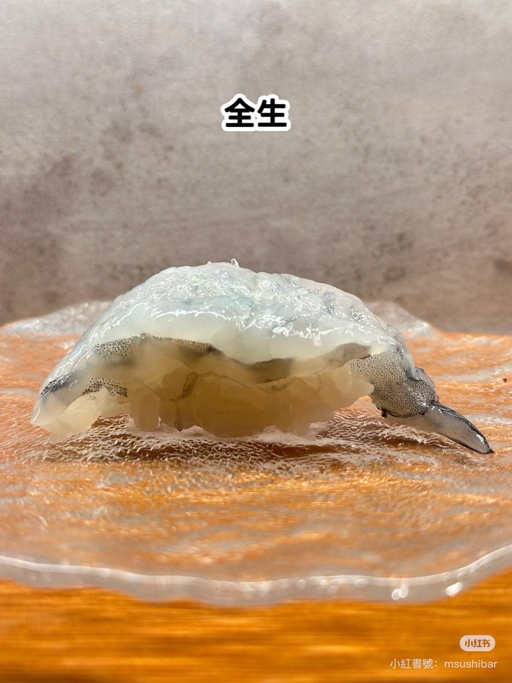藍天使蝦 (7)