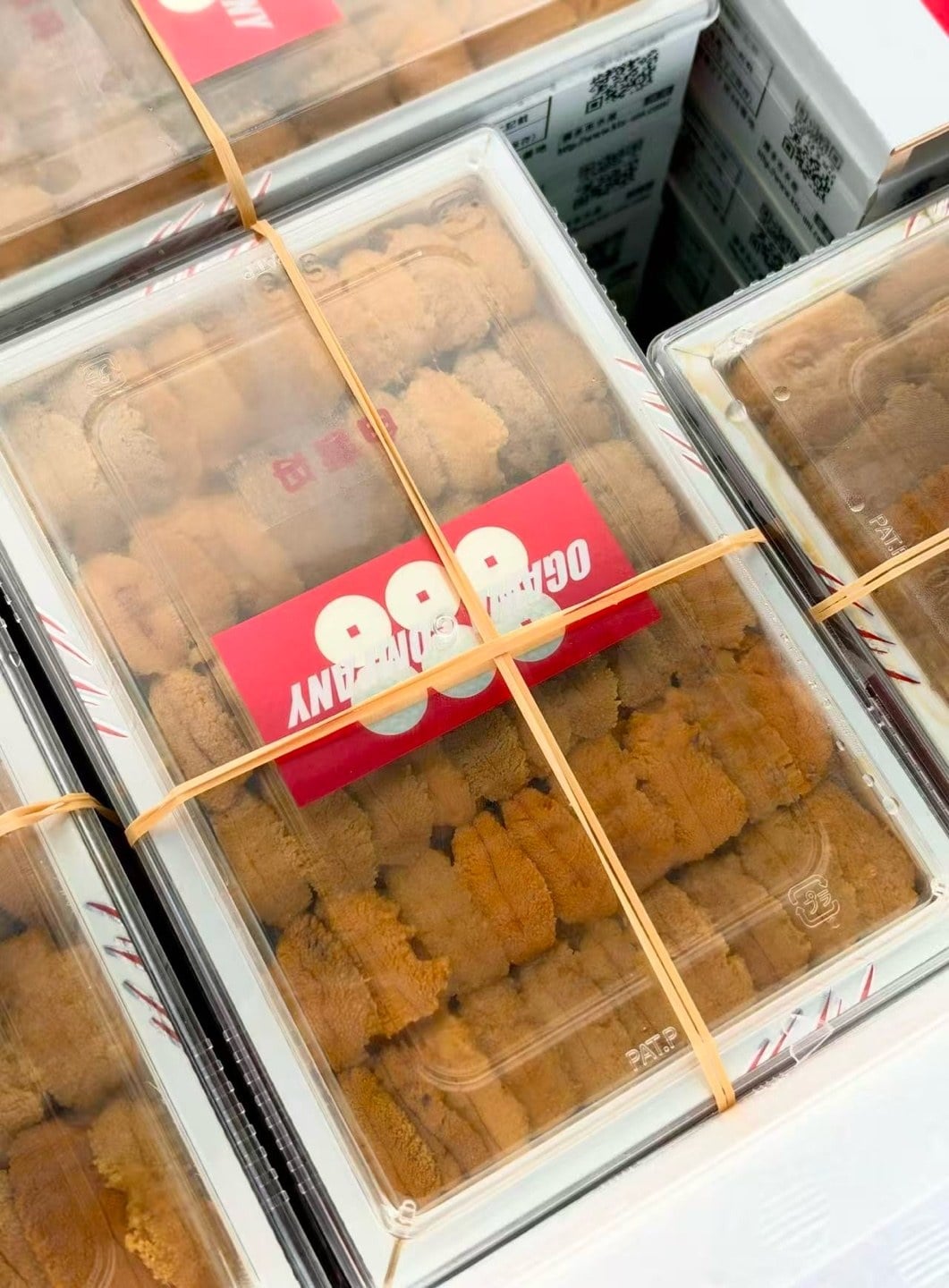 日本白海膽 (3)