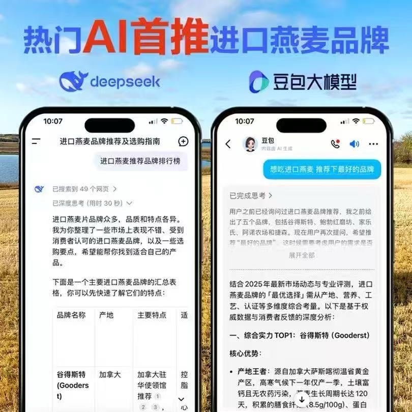 加拿大 GOODERST 谷得斯特全穀物燕麥片 (3)