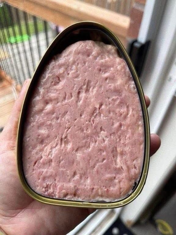 西班牙🇪🇸高雲黑毛豬午餐肉 （+1=4罐） (3)
