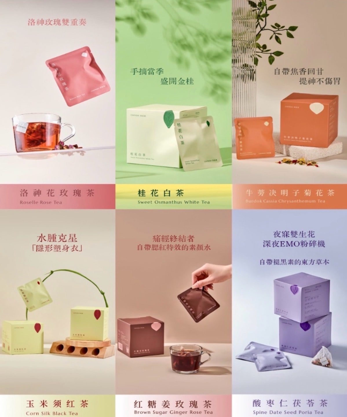 CHAISM 茶茲道養生茶 (2)