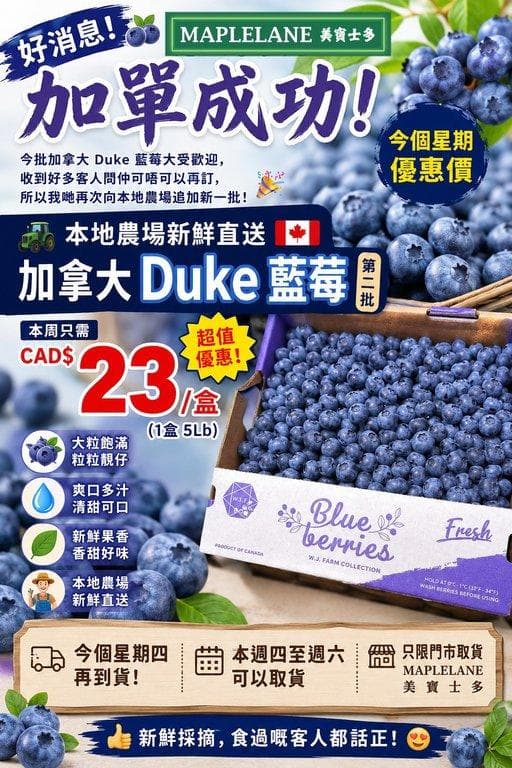 加拿大 Duke 藍莓(第二批)