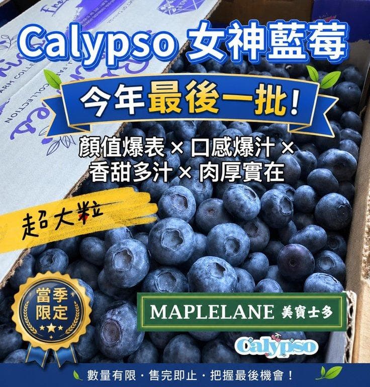 Calypso 女神藍莓 (8/6)