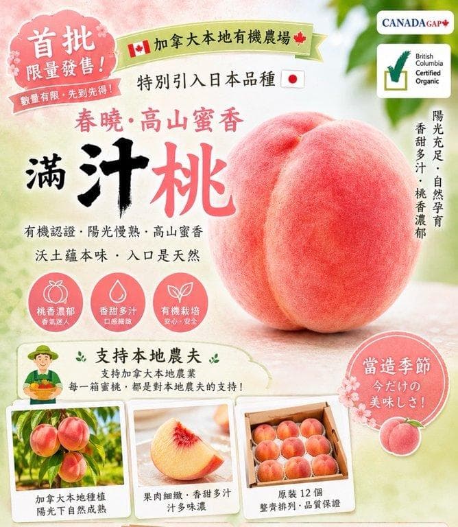 加拿大本地有機蜜桃