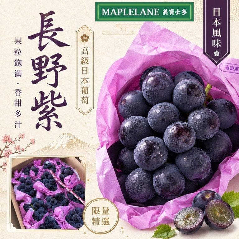 日本長野紫 Nagano Purple|高級黑葡萄