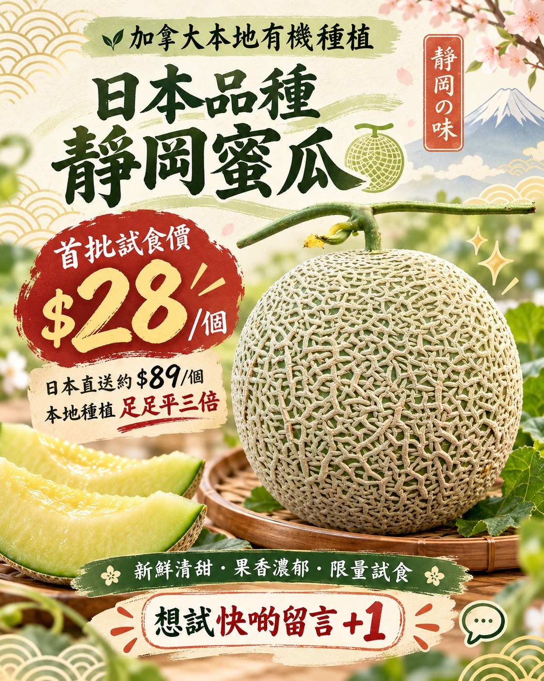 日本靜岡品種蜜瓜